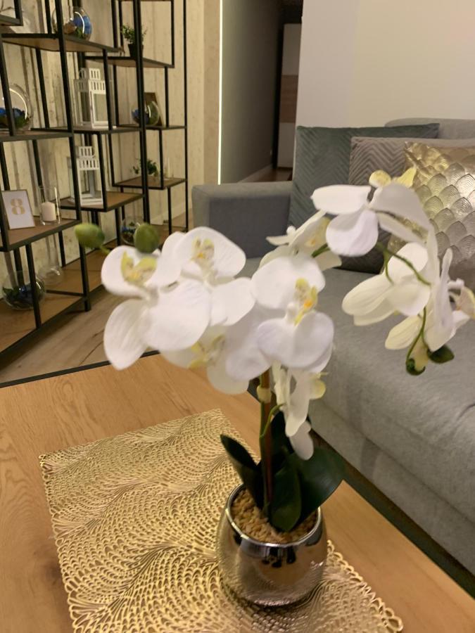 Moderno Apartament Krakow Ngoại thất bức ảnh
